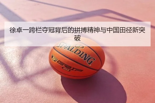徐卓一跨栏夺冠背后的拼搏精神与中国田径新突破