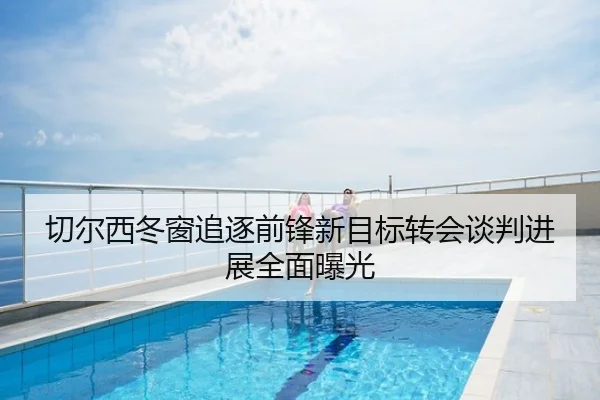 切尔西冬窗追逐前锋新目标转会谈判进展全面曝光