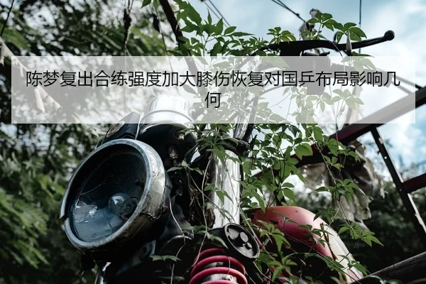 陈梦复出合练强度加大膝伤恢复对国乒布局影响几何